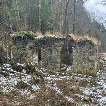 Příběhy nejen šumavské