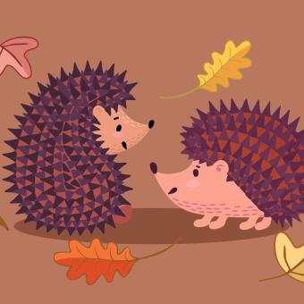 Tihle dva ježci se rozhodně nenudí