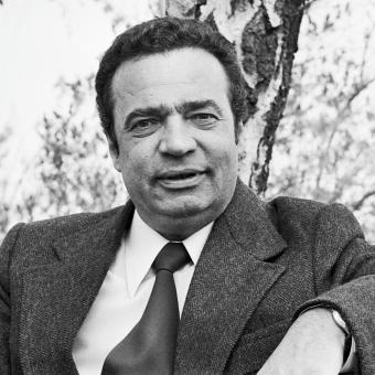 Vladimír Menšík (1978)