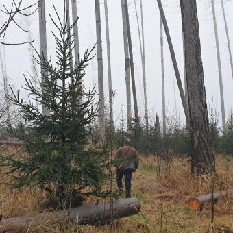 Jiří Nohel v lese v okolí Velké Bíteše