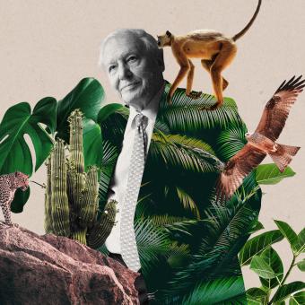 Radiokniha - David Attenborough: Život na naší planetě