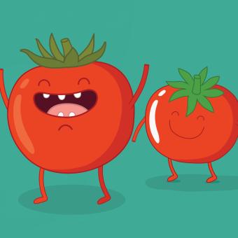 Jak dopadne velké rajčatové putování?