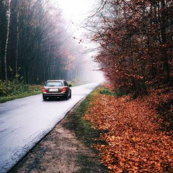 Auto, silnice, podzim, listí, mokrá vozovka