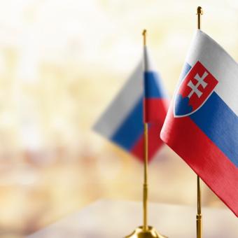 Slovenská vlajka (ilustrační foto)