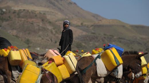 Dívka stojí vedle oslů a čeká na vodu v Bit al-Haidari, 200 kilometrů na jih od San'á