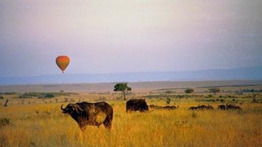 Balon nad africkou divočinou
