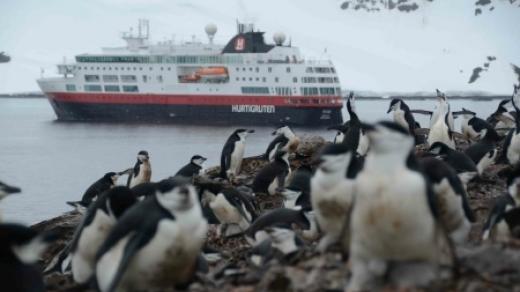 Turisté musí na antarktických březích respektovat přísná pravidla, aby neohrozili křehkou rovnováhu tamní přírody