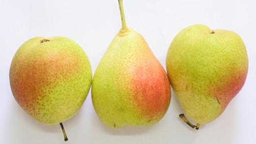 Hrušky