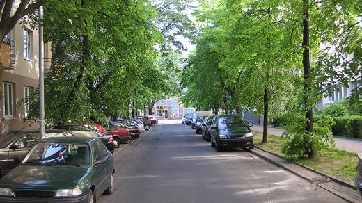 Ulice s automobily, veřejná zeleň (ilustrační foto)