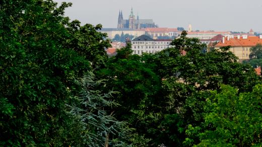 Zeleň v Praze