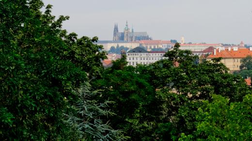 Zeleň v Praze