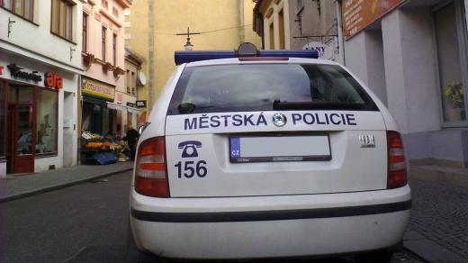 Městská policie (ilustrační foto)