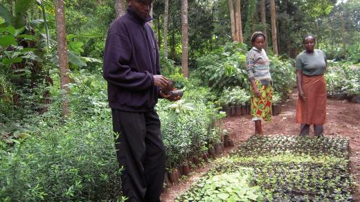 Julius Githaiga stál u zrodu dnes 20členné komunity, která pod horou Tumutumu vysazuje stromy