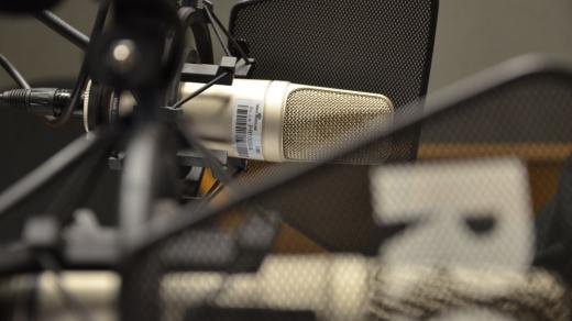 Studiový mikrofon (ilustr. foto)