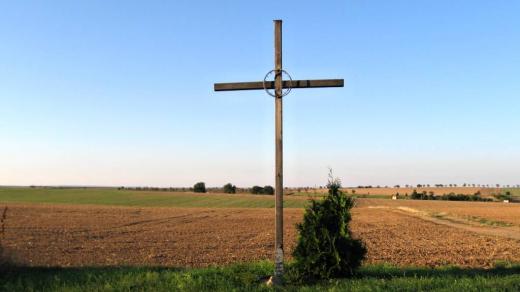 Dřevěný kříž mezi obcemi Citonice a Přímětice.jpg