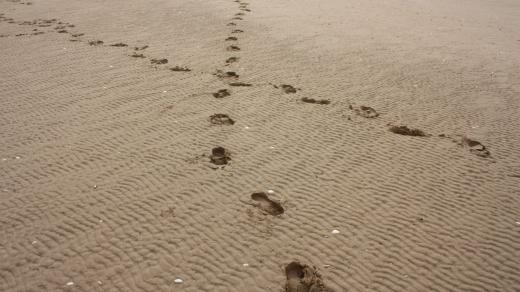 Setkání, písek, stopy, míjení, cesta, život, pláž