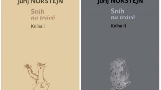 Kniha Sníh na trávě Jurije Norštejna