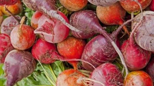 Kořenová zelenina, řepa