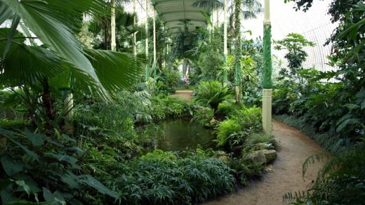 Palmový skleník v Lednici