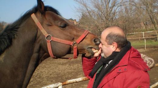 Slavný dostihový kůň Overdose s majitelem Zoltánem Mikóczem