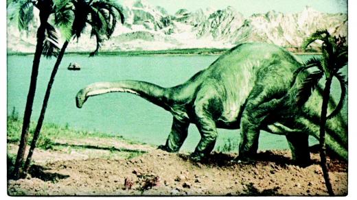 Cesta do pravěku, fotografie z filmu