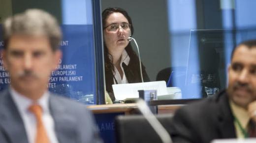 AFET Committee : high level conference on "Understanding Political Islam: Views from Within"