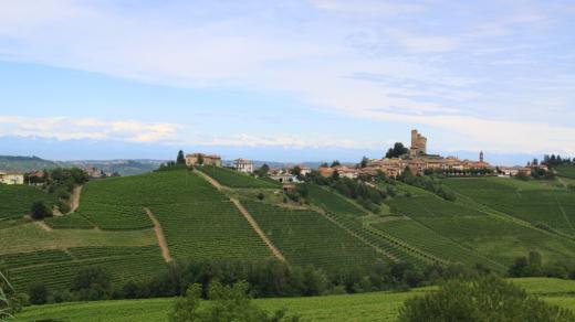 Krajina s vinicemi zapsaná na seznamu UNESCO