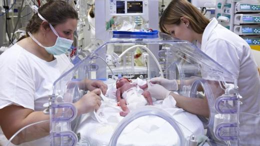 První česká paterčata se narodila v červnu 2013