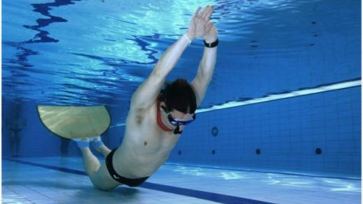 V bazénu probíhá tzv. statika a dynamika, tedy výdrž v klidovém stavu nebo naopak plaveckém pohybu na jedech nádech