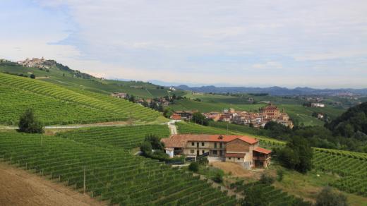 UNESCO vzalo pod svá ochranná křídla nejen piemontské víno, ale také krásnou zvlněnou krajinu posetou vinicemi