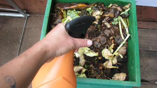 Speciální zelená popelnice na bioodpad je určena na zelené natě, slupky ze zeleniny, jadřince a další zbytky z kuchyně vhodné ke kompostování. Tak proč nekompostovat?