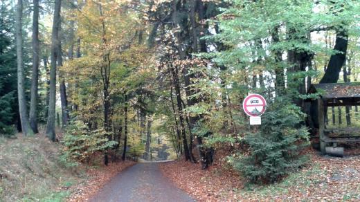 Užší cesta vedoucí směrem k Dobříši podél přírodní rezervace Hradec