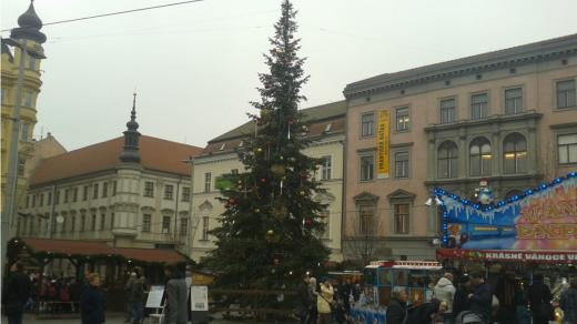 I letošní brněnský vánoční strom pochází z Bílovic