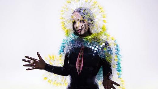 Björk na obalu desky Vulnicura