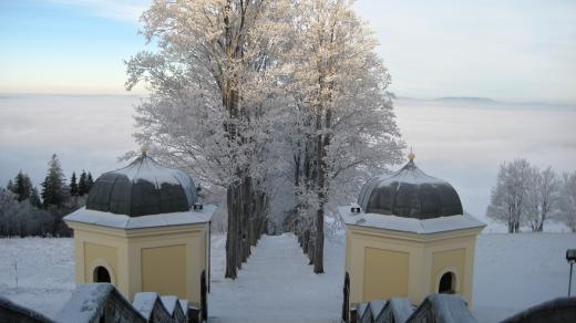 Alej na Horu Matky Boží u Králík