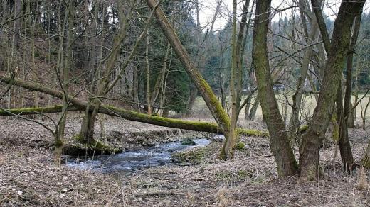 Řeka a její okolí je zde ponechána v původní podobě a tvoří tak zajímavý biokoridor