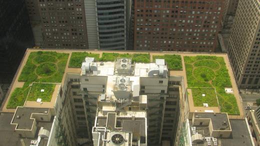 Zelená střecha Chicagské radnice