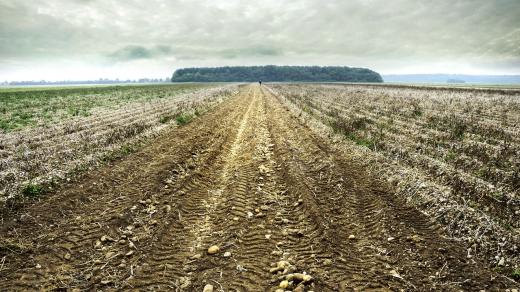 50% veškeré zemědělské půdy je ohroženo vodní erozí
