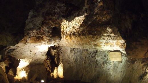 Aragonitové koblihy na stěně Koblihové síně, výrazně zakončené v bývalé úrovni hlinitého dna jeskyně