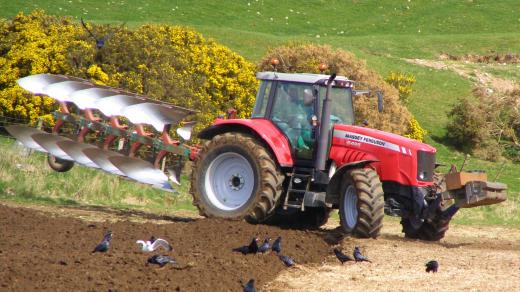 traktor - pole - na poli - zemědělec - zemědělství