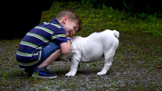 pes a dítě, pořídit dítěti zvíře nebo ne, nejlepší přítel, zvířecí miláček