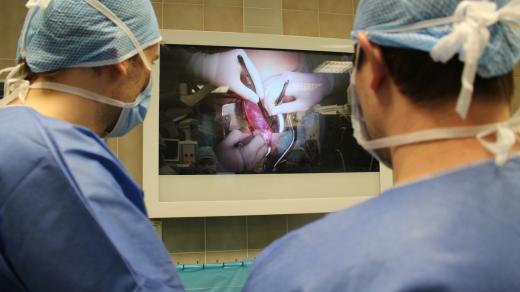 Ledvina je napojena a změna barvy z  bílé na růžovou znamená, že do ní proudí krev