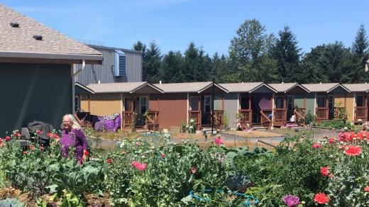Nejznámějším příkladem "tiny houses" pro lidi bez domova je osada Quixote Village na okraji města Olympia ve státě Washington