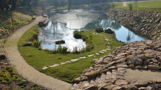 Nově založený rybník v parku