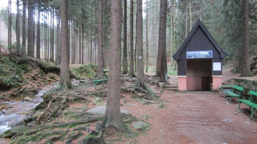 V lese poblíž města pramení novoměstská kyselka, která prý v minulosti uchránila Novoměstské před morem