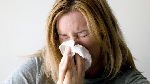 chřipka, alergie, rýma
