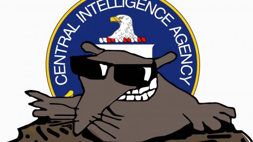 Český krtek v CIA