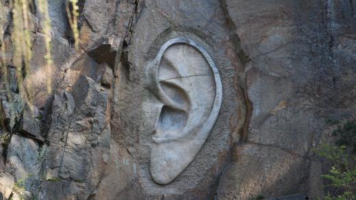 Bretschneiderovo ucho je vysoké přes tři metry