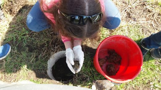 Děti z Tisé už třetím rokem pomáhají dobrovolníkům se záchranou žab