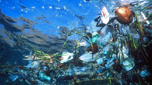 Odpadky v moři - plast v moři 